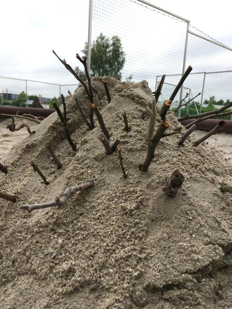 Stöcke im Sand Erziehungsförderverein e.V.