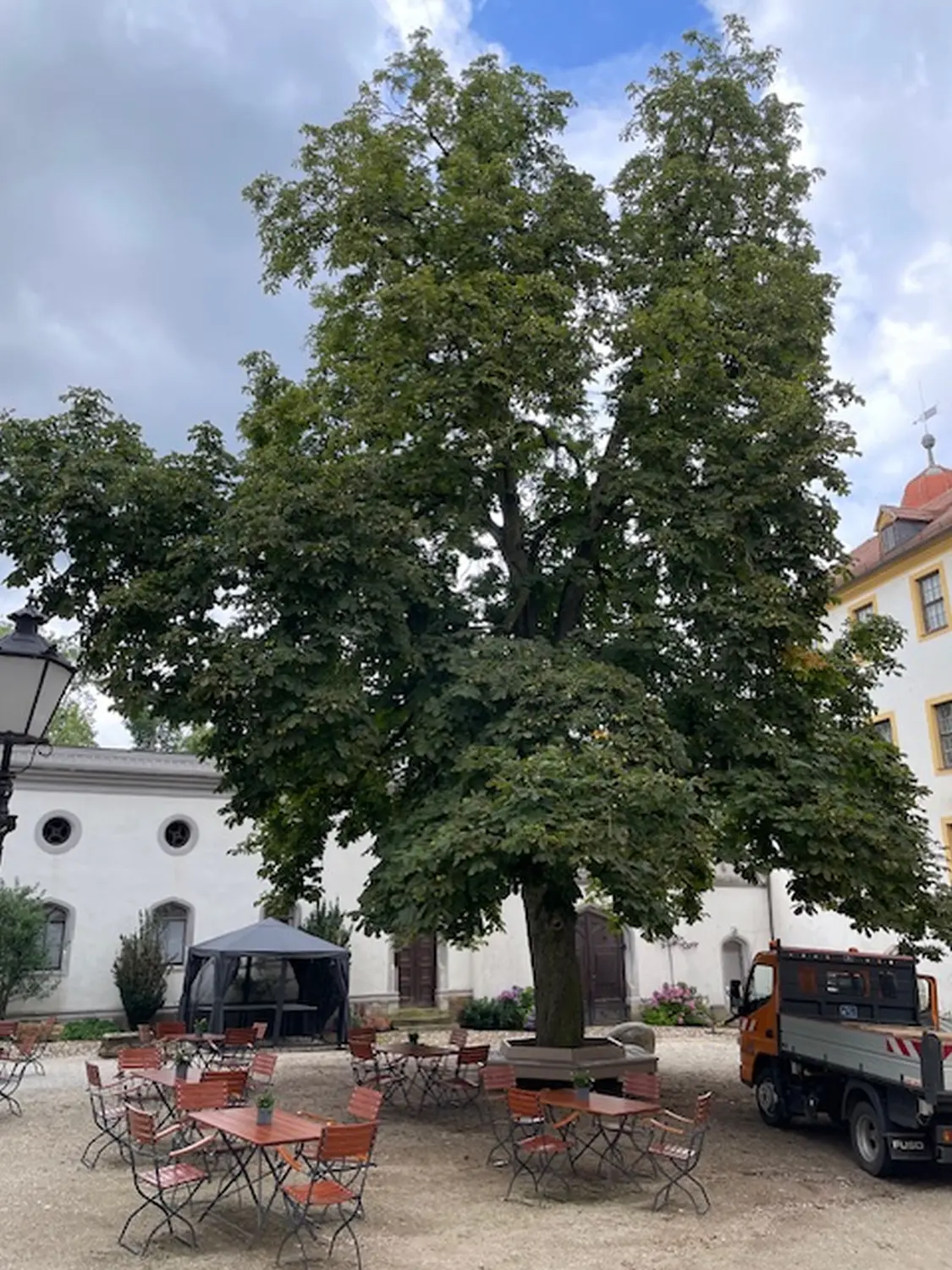 Kletterwald Rabenstein vom Erziehungsförderverein e.V.