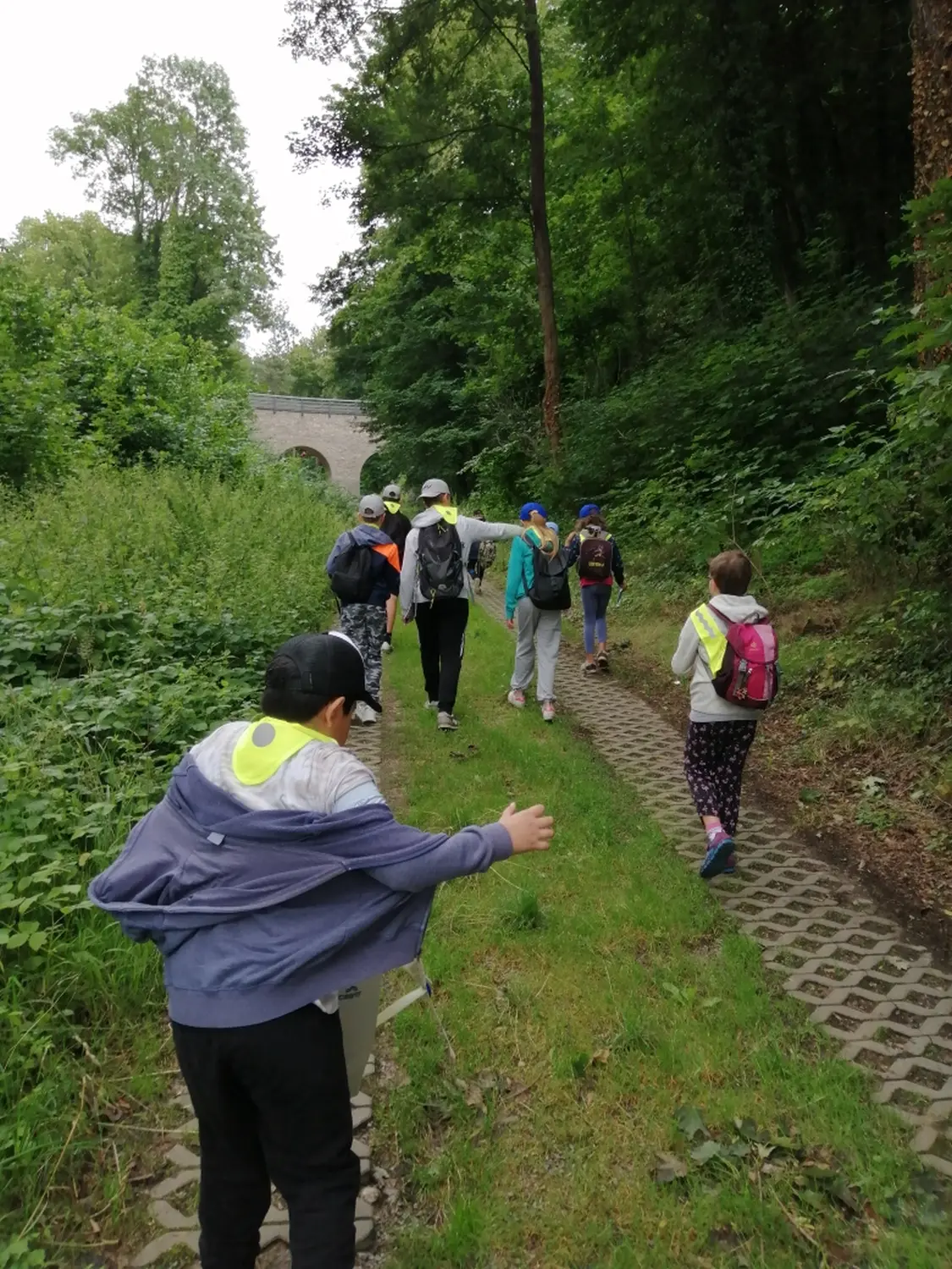 Kletterwald Rabenstein vom Erziehungsförderverein e.V.